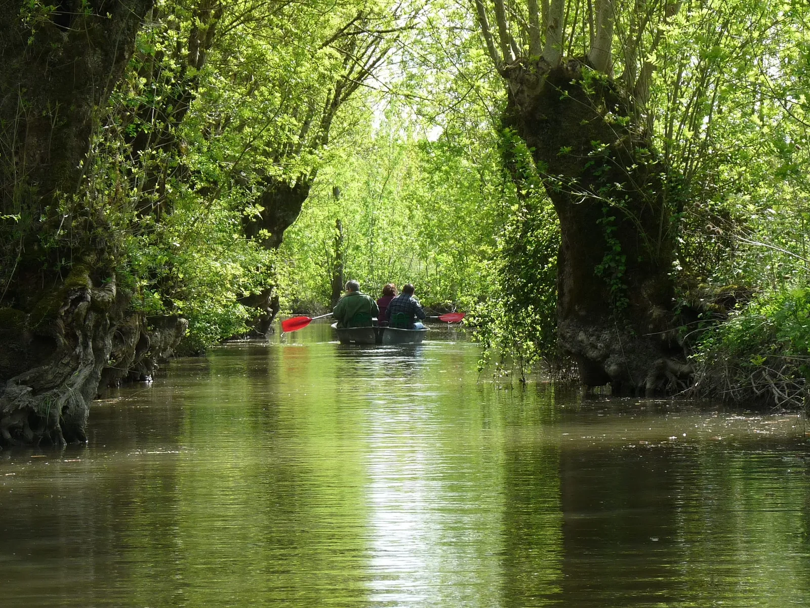 Arçais Venise Verte Loisirs